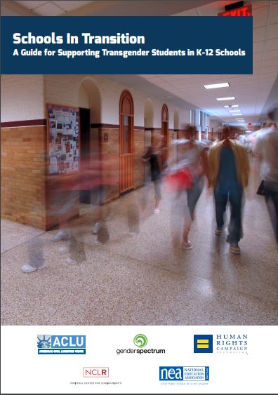 Schools in transition report cover