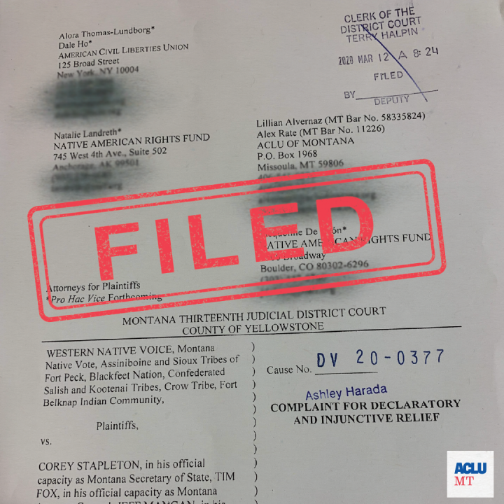 image of filed lawsuit page